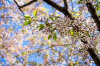 Що таке весняне загострення і як його здолати