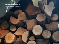 На Рівненщині весь день незаконно возили деревину (ФОТО)