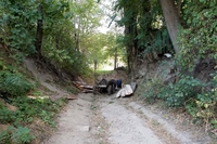 У селі на Рівненщині трагічно загинув чоловік (ФОТО)