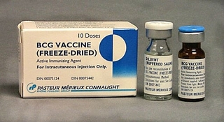 Так виглядає вакцина БЦЖ