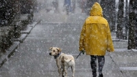 Снігопад та штормовий вітер: синоптики розповіли, де буде найгірша погода (ФОТО/ВІДЕО)
