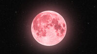 Перша повня літа 2023: у Рівному «полуничний місяць» (ФОТО)