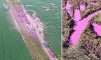 Рожеві хімікати під Рівним: коли з’являться результати досліджень ґрунту