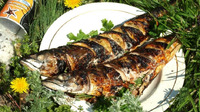 Яку рибу краще вибрати для мангала? + Рецепт ідеального маринаду