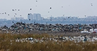 Дороге сміття: на Рівненський сміттєзвалювальний полігон треба майже 5 мільйонів гривень