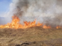 Два села збіглися гасити пожежу на Костопільщині (ФОТО/ВІДЕО)