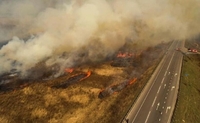Каратимуть жорстко: ШТРАФИ за спалювання трави підвищили до 153 тисяч гривень 