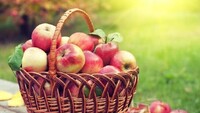 Сьогодні – Яблучний Спас: Традиції та заборони дня
