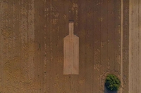Пляшка на пшеничному полі: фігуру в Україні видно з космосу (ФОТО)