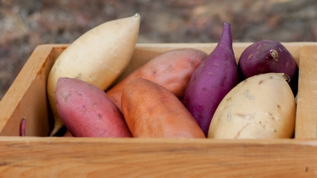 2. Багато вітаміну A