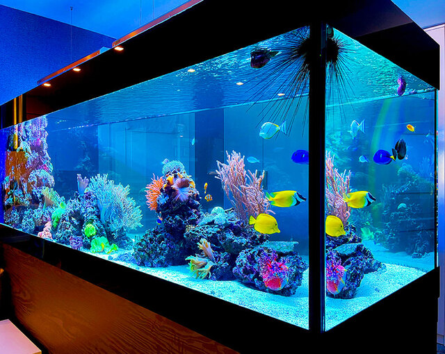 Фото ілюстративна