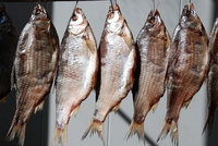 Населення Рівненщини закликають утриматися від вживання в’яленої риби