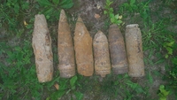 У трьох селах на Рівненщині знайшли боєприпаси часів Другої світової війни (ФОТО)
