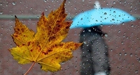 Дощі та невелике потепління прогнозують на Рівненщині