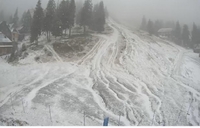 Гірськолижні курорти Карпат засипає снігом (8 ФОТО)