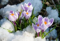 Що обов’язково потрібно зробити 9 березня, щоб у домі був достаток: народні прикмети