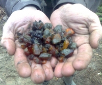 5 тонн бурштину видобули на Рівненщині легально
