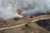 Знайшли підпалювача лісу біля Чорнобильської АЕС (ВІДЕО)