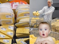 Україну заполонив підроблений сир: експертка пояснила, як відрізнити фальсифікат 
