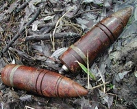 На Рівненщині селянин у лісовому масиві виявив два вибухонебезпечних предмети