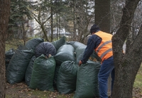 Майданчик для переробки листя на біогумус показали на Рівненському сміттєвому полігоні (ФОТО)