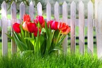 Що потрібно зробити 15 березня, щоб рік пройшов без хвороб: народні прикмеи