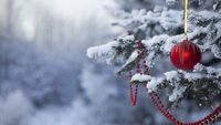 Скільки вихідних буде в Україні на Новий рік й Різдво 