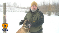 Громадянин Німеччини приїхав у Рівне за псом Енштейном: як рятують тварин від війни (ФОТО/ВІДЕО)