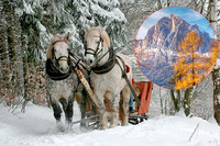 «Бабине літо» в грудні та сніг під Новий рік: якою в Україні буде зима
