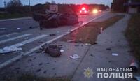 Трагедія на трасі «Київ-Ковель-Ягодин»: розбились батько та 10-річна донька (ФОТО)