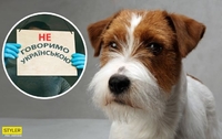 «Собаки нас понимают», - у  Києві жінці відмовили в обслуговуванні українською (ВІДЕО)