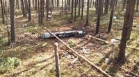 На Рівненщині працювали сили ППО: було збито дві ракети 