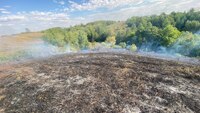 Через автомобіль: на Рівненщині загорілася суха трава площею 1 га (ФОТО) 