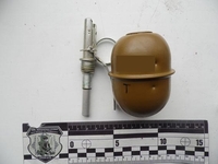 На Рівненщині під час обшуку знайшли бойову гранату (ФОТО)