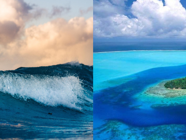 «Привид безодні»: у океані вперше зняли рідкісного гіганта (ФОТО)