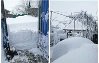 «Снігу по пояс» і фури в заметах: у мережі показали наслідки негоди в Одеській області (ФОТО/ВІДЕО)