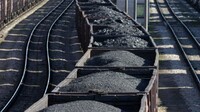 Під прикриттям поліції та охорони вкрали сотні тонн вугілля з вантажних поїздів