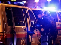 Теракт у Відні: троє загиблих і 15 поранених. Злочинці можуть бути роззосереджені по місту (ФОТО)