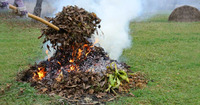 Чи можна палити гілки та сміття на подвір'ї: в ДСНС розповіли, коли виписують штраф