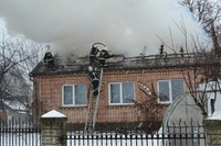 Десять бійців ДСНС рятували від вогню будинок у Малому Олексині (ФОТО/ВІДЕО)