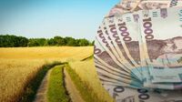 В Україні різко здорожчала земля: скільки зараз коштує гектар?
