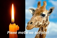 «Смерть жирафи була страшною», — рівненська правозахисниця (ВІДЕО)