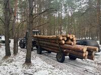 Двох «чорних» лісорубів спіймали на Рівненщині