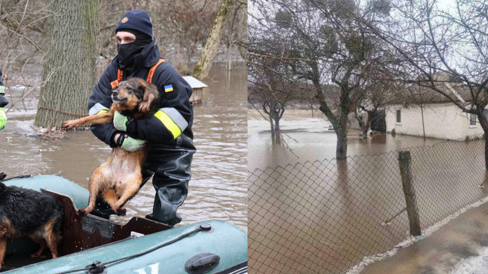 Циклон «топить» Україну: Коли чекати паводків на Рівненщині?