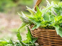 Чому 28 червня вважають нещасливим днем: народні прикмети