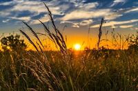 Що розвішували по кімнатах 11 червня для захисту оселі: народні прикмети