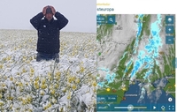 До 10 см снігу випало у Європі. На Україну насувається негода. Все померзне? (ФОТО)