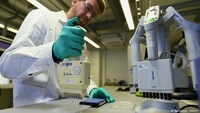 Вірус COVID-19 «витік» із лабораторії. Версію з тваринами вчені відкидають – Daily Mail (ФОТО)