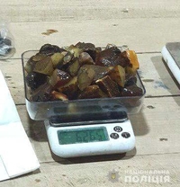 Діяльність підпільних цехів з обробки бурштину виявили на Рівненщині