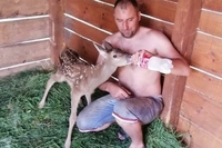 «Годували молоком із пляшки»: на Рівненщині родина прихистила маленьке оленя (ФОТО/ВІДЕО)